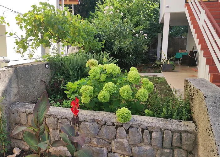 Olcsica
